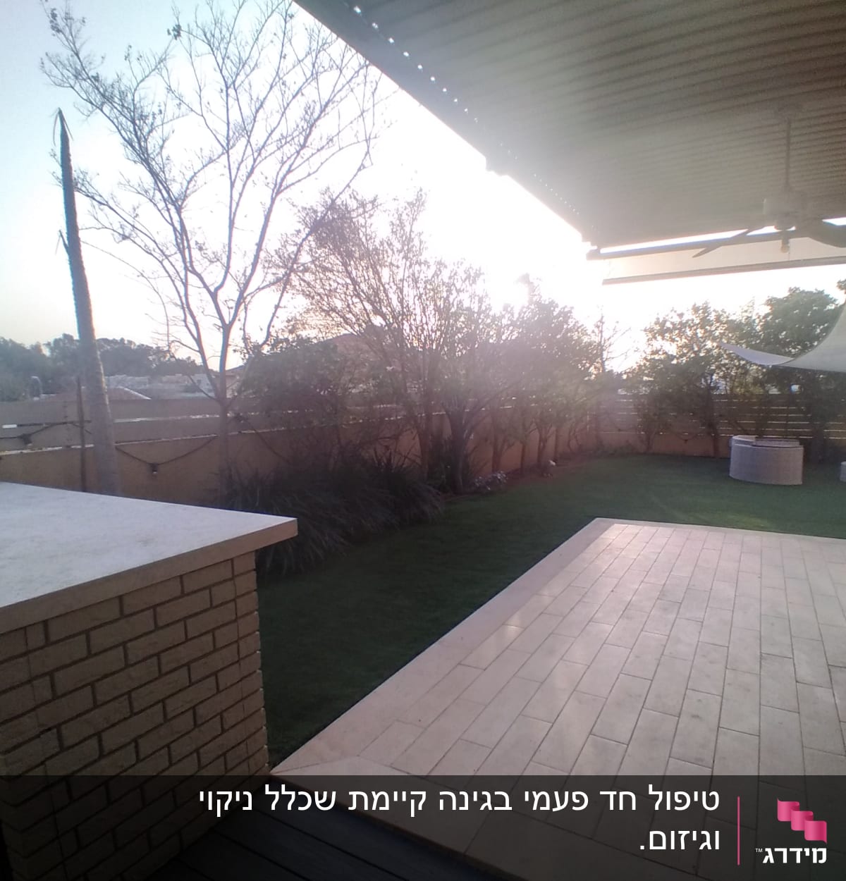 עצים ושיחים בגינה עם דשא ירוק